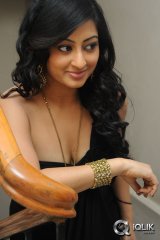 Tanishka at Cut Chesthe Audio Launch